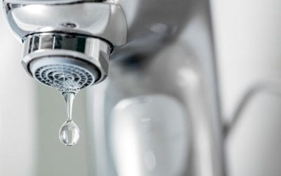 6 Ways to Save Water and Money