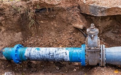 7 Signs You Need Sewer Line Repair